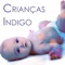 Sono Infantil - Musicas Crianças lyrics