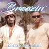 Breezin' album lyrics, reviews, download