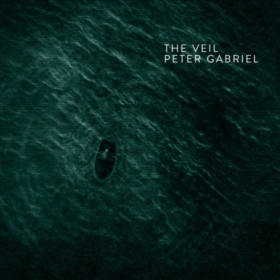 Cover artwork for The Veil