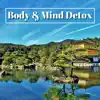 Body & Mind Detox - Calm Tibetan Bells and Tibetan Singing Bowls for Oriental Peace album lyrics, reviews, download