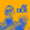 Stream & download Ay Dios - Single