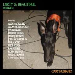Dirty & Beautiful, Vol. 2 by Gary Husband album reviews, ratings, credits