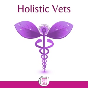 What to Feed Dog During Cancer Treatment