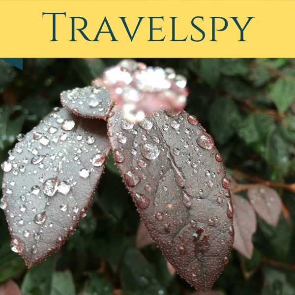 Travelspy - travelspy cover