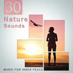 30 Nature Sounds: Music for Inner Peace – Songs for Spa, Meditation, Yoga, Relaxation, Sleep, Ambient Serenity, New Age Peaceful Music by Keep Calm Music Collection album reviews, ratings, credits