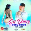 Sii Dung (feat. Salty) song lyrics