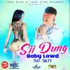 Stream & download Sii Dung (feat. Salty)