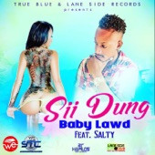 Sii Dung (feat. Salty) artwork
