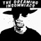 Alexzandra - The Dreaming Insomniacs lyrics