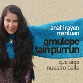Amulepe Taiñ Purrun artwork