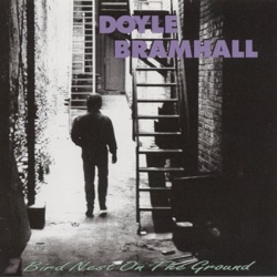Doyle Bramhall - Change It
