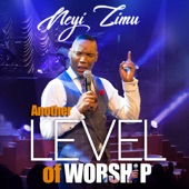 Another Level Of Worship artwork