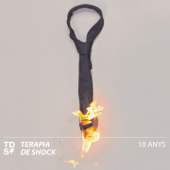 10 Anys - Teràpia de Shock