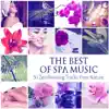 Stream & download The Best of Spa Music: 50 Relaxing Tracks Pure Nature, Healing, Inner Peace, Total Relaxation, Ultimate Wellness Center Sounds, Sleep & Massage