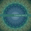 Calando, Vol. 3 - Musica Elettronica
