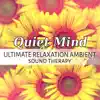 Quiet Mind: Ultimate Relaxation Ambient Sound Therapy album lyrics, reviews, download