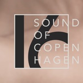 Sound of Copenhagen, Vol. 16 artwork