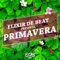 Primavera - Elixir De Beat lyrics