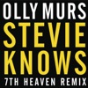 Stevie Knows (7th Heaven Remix) - Single