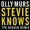 Olly Murs - Stevie Knows (7th Heaven Remix)