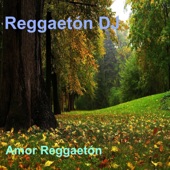 Amor Reggaeton artwork