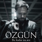 Bu Kadar mı Zor artwork