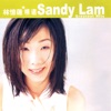Sandy Lam - 夜太黑