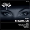 Rogier - Introspection (Kay Aka Khalil Touihri Remix)