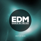 EDM Dance in the Mix (Best of Ibiza) artwork