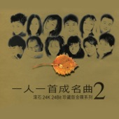 一人一首成名曲 2 artwork