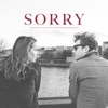 Sorry - Single, 2016