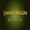 Şahap Akgün - İki Gözüm