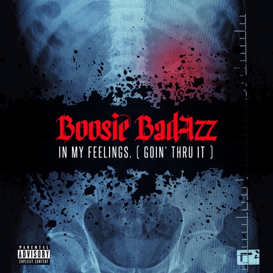 Cover artwork for Roller Coaster Ride