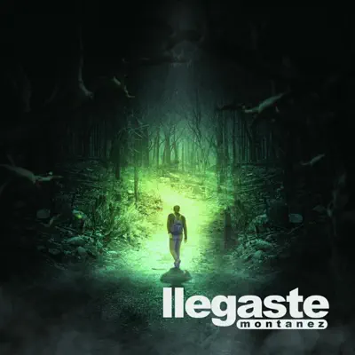 Llegaste - Montañez Llegaste - Montañez