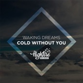 Cold Without You artwork