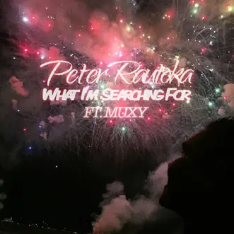 What I'm Searching For (feat. Muxy) by Peter Rautoka song reviws