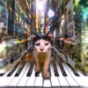 The Alleycat - Single