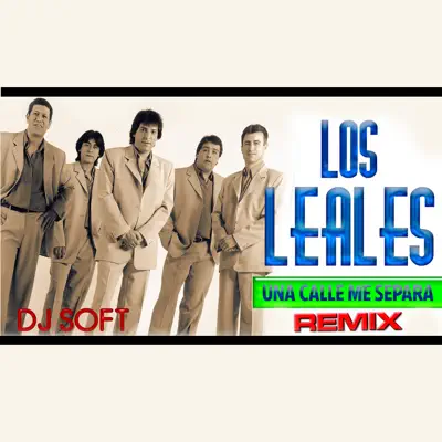 Una Calle Me Separa (Remix) - Single - Los Leales