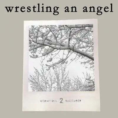 Wrestling an Angel - Single - Carolina Liar