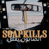The Best of Soapkills cover