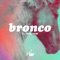 Bronco (Flashdisco Remix) [feat. Beta Bow] - Pola-Riot lyrics