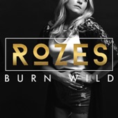 Burn Wild (Kap Slap Remix) artwork