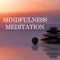 Full Mind - Mindful Meditation lyrics