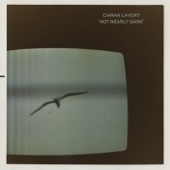 Ciaran Lavery - Shame