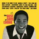 Sam Cooke - Twistin' the Night Away