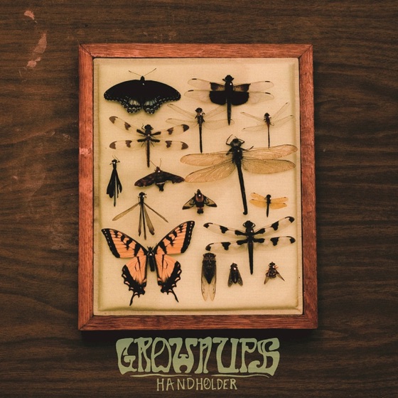 Cover artwork for Wildlife