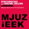 Lowdown (Mikalogic Remix) [feat. Rachel Zelcer] - DiscoRocks lyrics