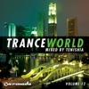 Trance World, Vol. 12, 2011
