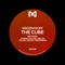 The Cube (Adrian Richter Remix) - Grozdanoff lyrics