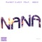 NaNa (feat. Geko) - Paigey Cakey lyrics